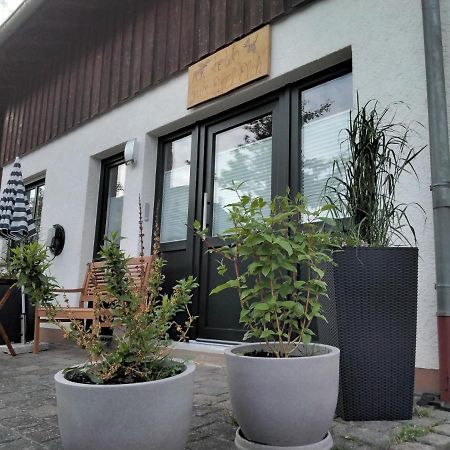 Ferienwohnung Zum Eifelelch เดาน์ ภายนอก รูปภาพ